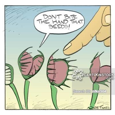 Funny Cartoons Funny Comics Plant Cartoon Weed Seeds Carnivorous Plants Funny Pictures