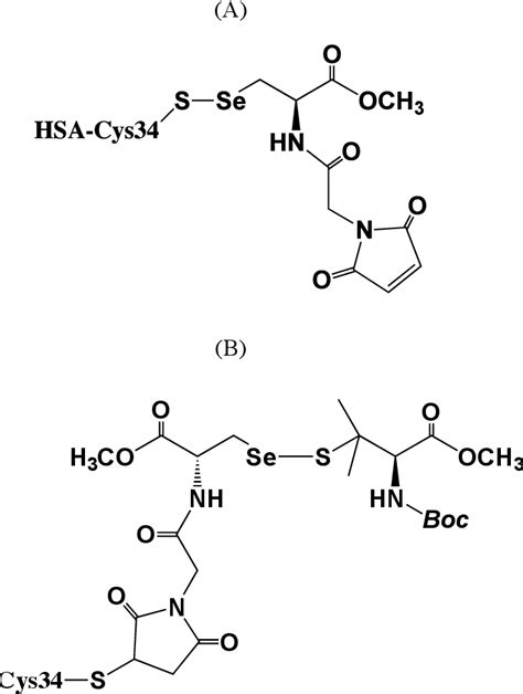 figure 1 from thiol targeted introduction of selenocysteine to polypeptides for synthesis of
