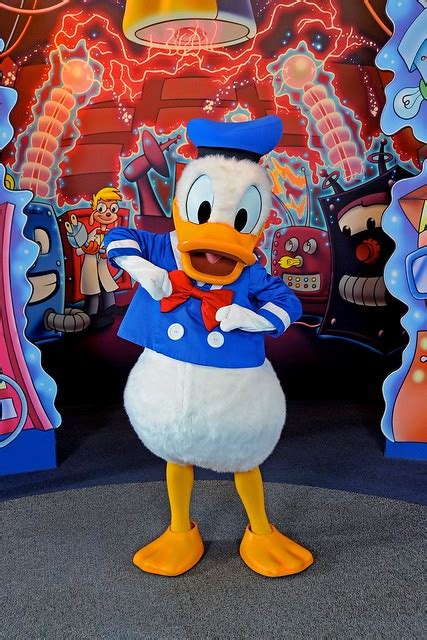 Donald Duck At Disney World Aol Image Search Results