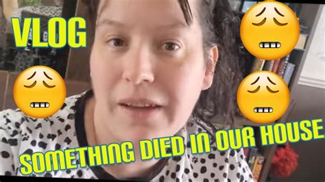 Vlog Spend The Day With Me I Am Upset Something Died In Our House Youtube