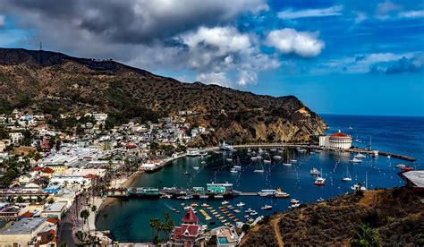 A Perfect Catalina Island Day Trip The Ultimate Guide Catalina