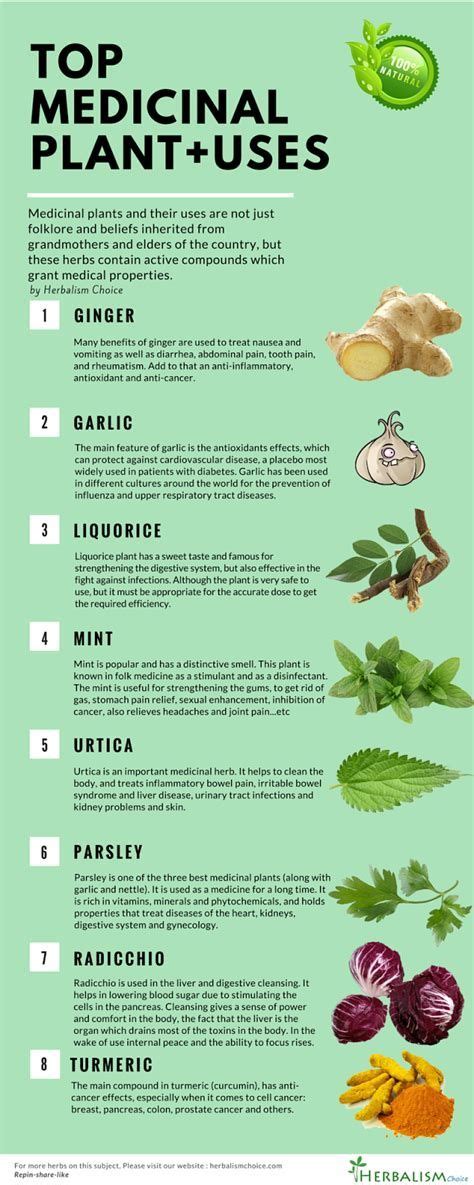 Herbs And Uses Chart