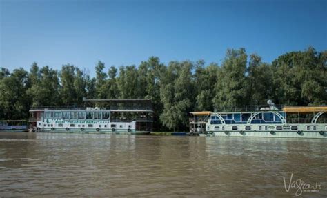 Into The Wild The Magnificent Danube Delta Romania