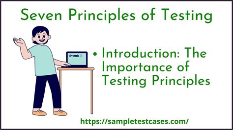 What Are The 7 Principles Of Testing