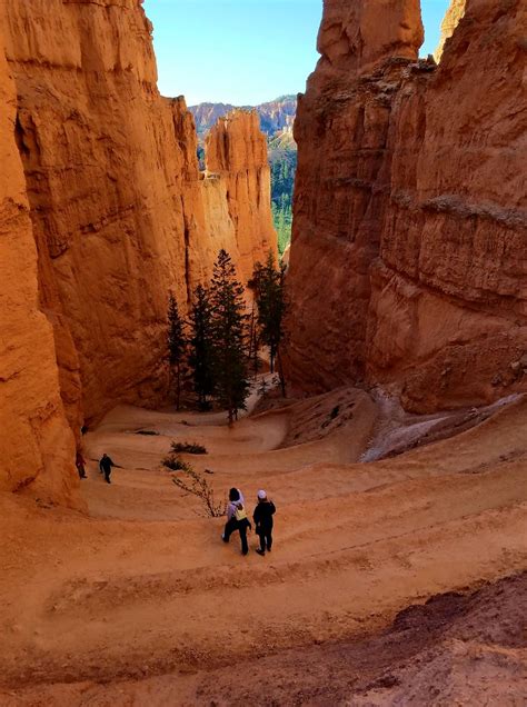 Heading Down Into The Navajo Loop Trail In Bryce Canyon National Park