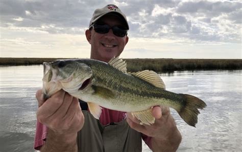 Lake Pontchartrain Fishing The Complete Guide Updated 2023