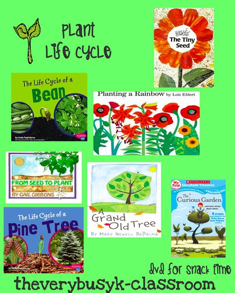 The Very Busy Kindergarten The Plant Life Cycle