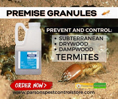 Premise Granules Drywood Termites Termites Termite Control