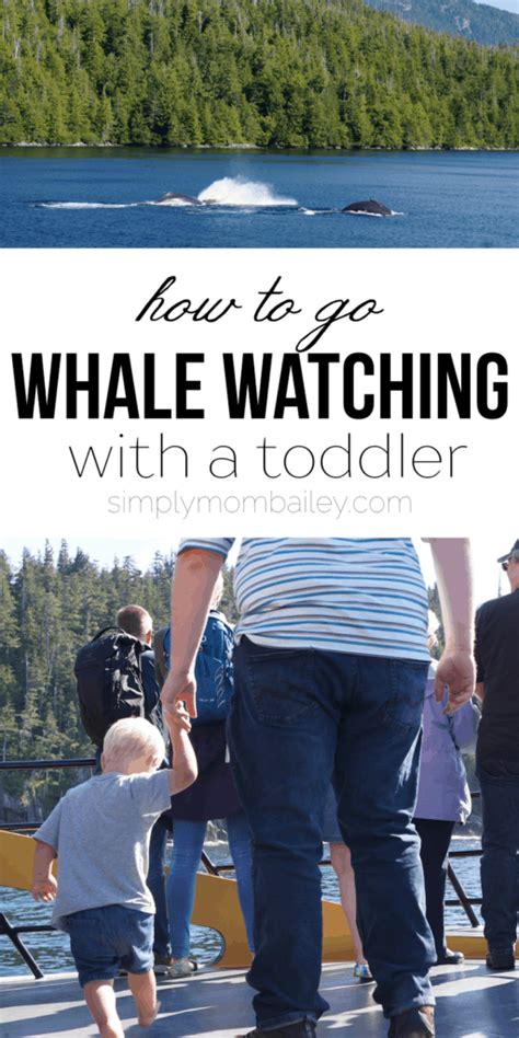 How To Go Whale Watching With A Toddler Prince Rupert Adventure Tours