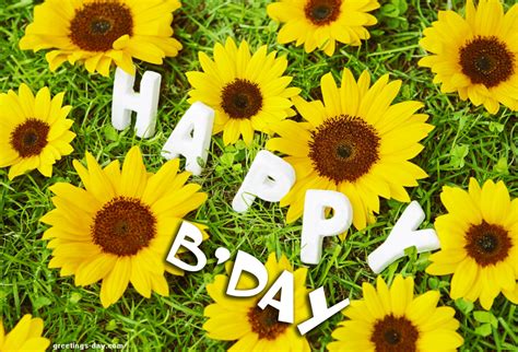 Check spelling or type a new query. Happy Bday With Sunflowers