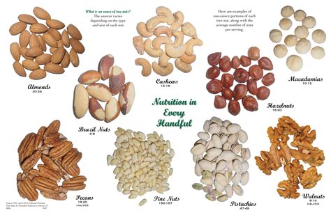 1 oz servings of different types of tree nuts almonds cashews pistachios pecans walnuts