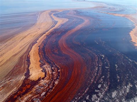 Gulf Of Mexico Oil Leak Spills Much More Than Thought
