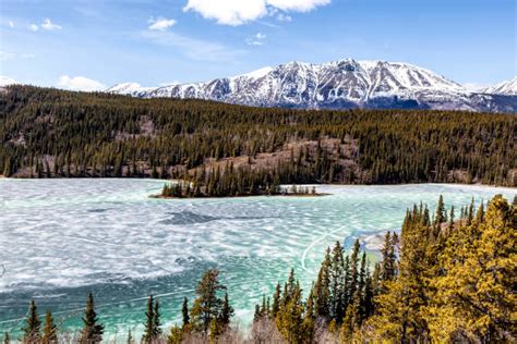 70 Yukon Emerald Lake Stock Photos Pictures And Royalty Free Images