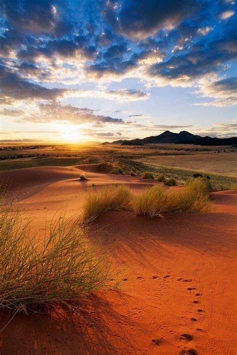 Stunning Sunsets Pictures Of A Desert With Images Landscape