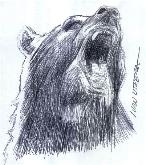 oso a lapicero por ivanutrera dibujando