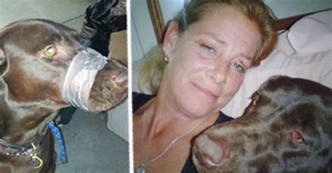 Woman Tapes Dogs Mouth Shut Posts Photo To Facebook