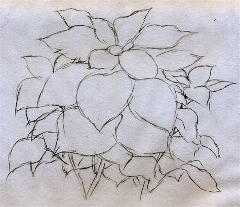 Quick Poinsettia Flower Sketch