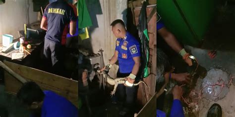 Berita - SATPOL PP KAB.BONDOWOSO