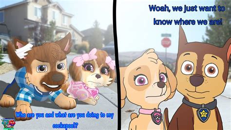 Seened Part 3 By Yourboimario On Deviantart Paw Patrol Cartoon Chase