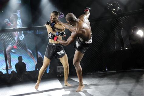 Mixed Martial Arts Is Bringing Its Cages To France Cervantes