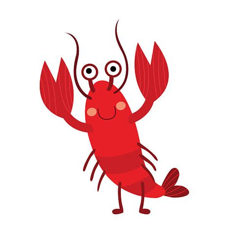 Best Crayfish Illustrations Royalty Free Vector Graphics