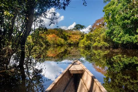 Top De Los Mejores Lugares Y Cosas Que Hacer En El Amazonas Colombiano