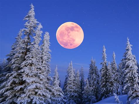 Full Moon 2022 February Snow Moon Peaks At Sunset Tonight Offering