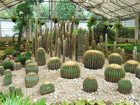 Botanical Garden In Bhubaneswar Odisha Famous Place In Odisha 2022
