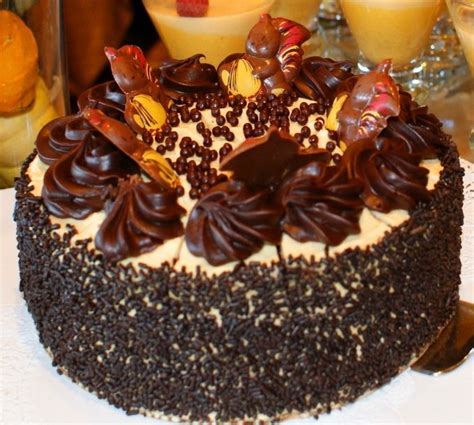 When slicing, use a knife dipped in hot water and then wiped dry. Mocha Mousse Cake | Mousse cake, Cake, Specialty cakes