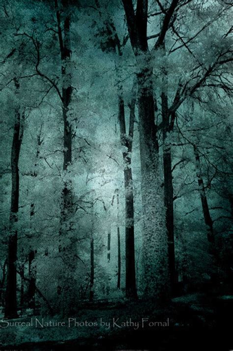 Surreal Nature Photography Haunting Woods Forest Trees Mint Etsy