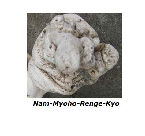 Jeder mensch besitzt von natur aus die fähigkeit, 1. Nam Myoho Renge Kyo
