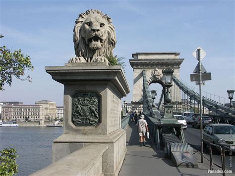 The North Western Stone Lion Sculpture Of The Széchenyi Chain Bridge