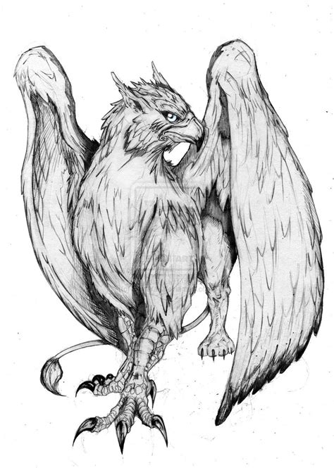 Gryphon Tatoo By Saintyak On Deviantart Mythical Creatures Drawings