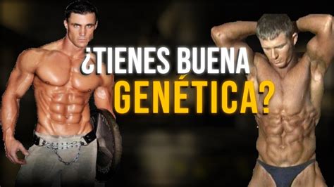 Actualizar Imagen Tipos De Genetica Gym Comovamosciudadde Mexico