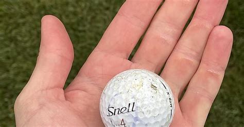 This Little Fella Has Made It 36 Holes Which Is A New Personal Record Imgur