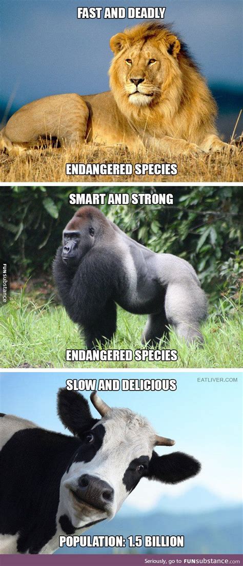 Survival Of The Delicious Animal Memes Funny Animals Endangered Animals