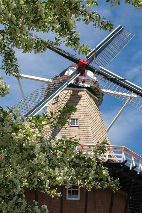 Holland james flowers artist painting reproduction handmade oil canvas repro. Take a Look Inside DeZwaan Windmill in Holland, Michigan ...