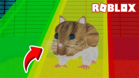 Become A World Class Hamster In Roblox Hamster Simulator Roblox Youtube