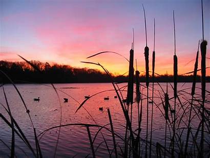 Hunting Duck Ducks Season Sunset