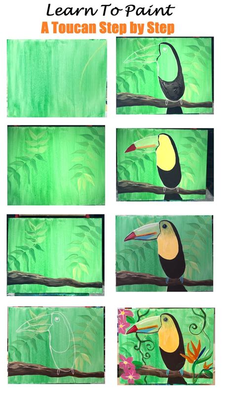 Learn How To Paint A Toucan Step By Step For Beginners In 2020