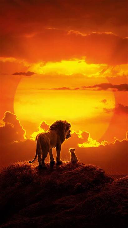 Lion King Wallpapers 2560 1440 Iphone Resolutions