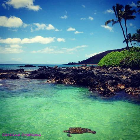 Aloha Friday Photo Makena Maui Magic Go Visit Hawaii