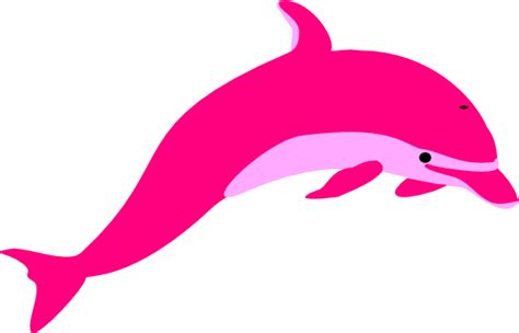 Pink Dolphin Clipart Pink Dolphin Dolphin Clipart Dolphin Art