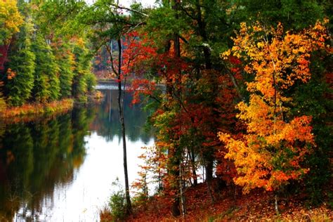 stunningly beautiful fall foliage  mississippi state parks