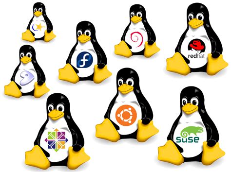 Techpro23 Best Linux Distros For The Enterprises Red Hat Linux Mint