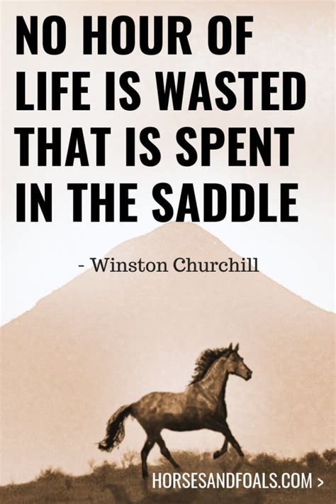 17 Inspirational Horse Quotes That You Will Love With Images