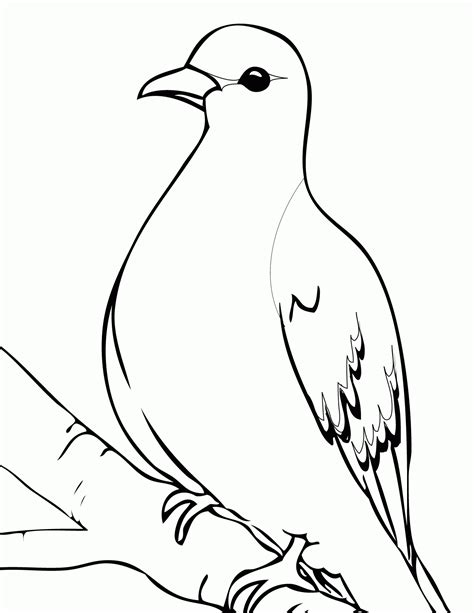 White Dove Coloring Page Coloring Home