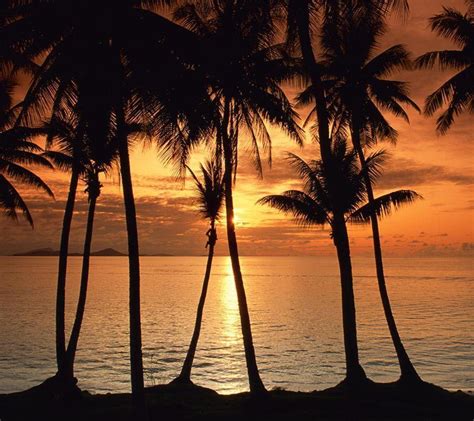 Tropical Island Sunset Wallpapers Wallpaper Cave