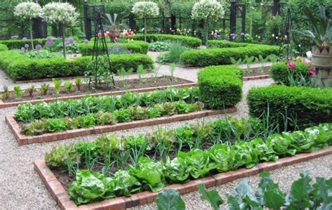9 Best Gardening Layout Ideas For Homesteaders