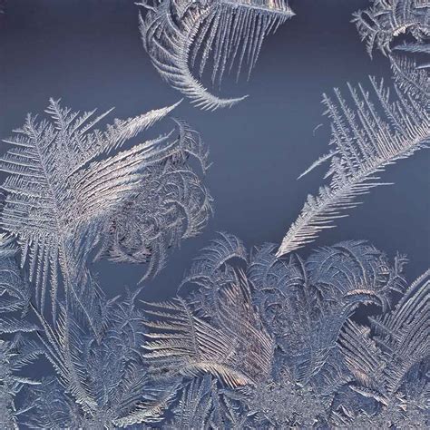 Ice Crystals On Window Sold Out Simon Fraser Photo